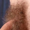 genital hair of hot masculine men