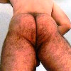 hairy muscle ass