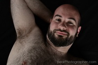 bear in suit and tie male studio pictures