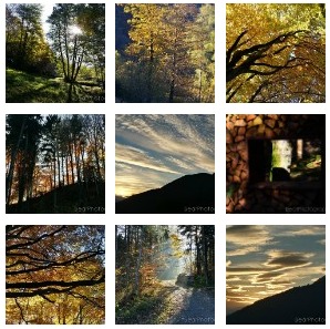 Fall impressions of Switzerland - nature and masculinity - Bear photographer male photos 