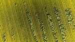 landscapes - strong male nature drone photography